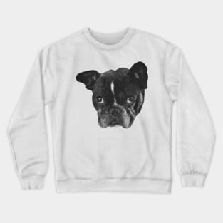 Boston Terrier Dog Painting Crewneck Sweatshirt